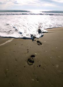footprints-389224